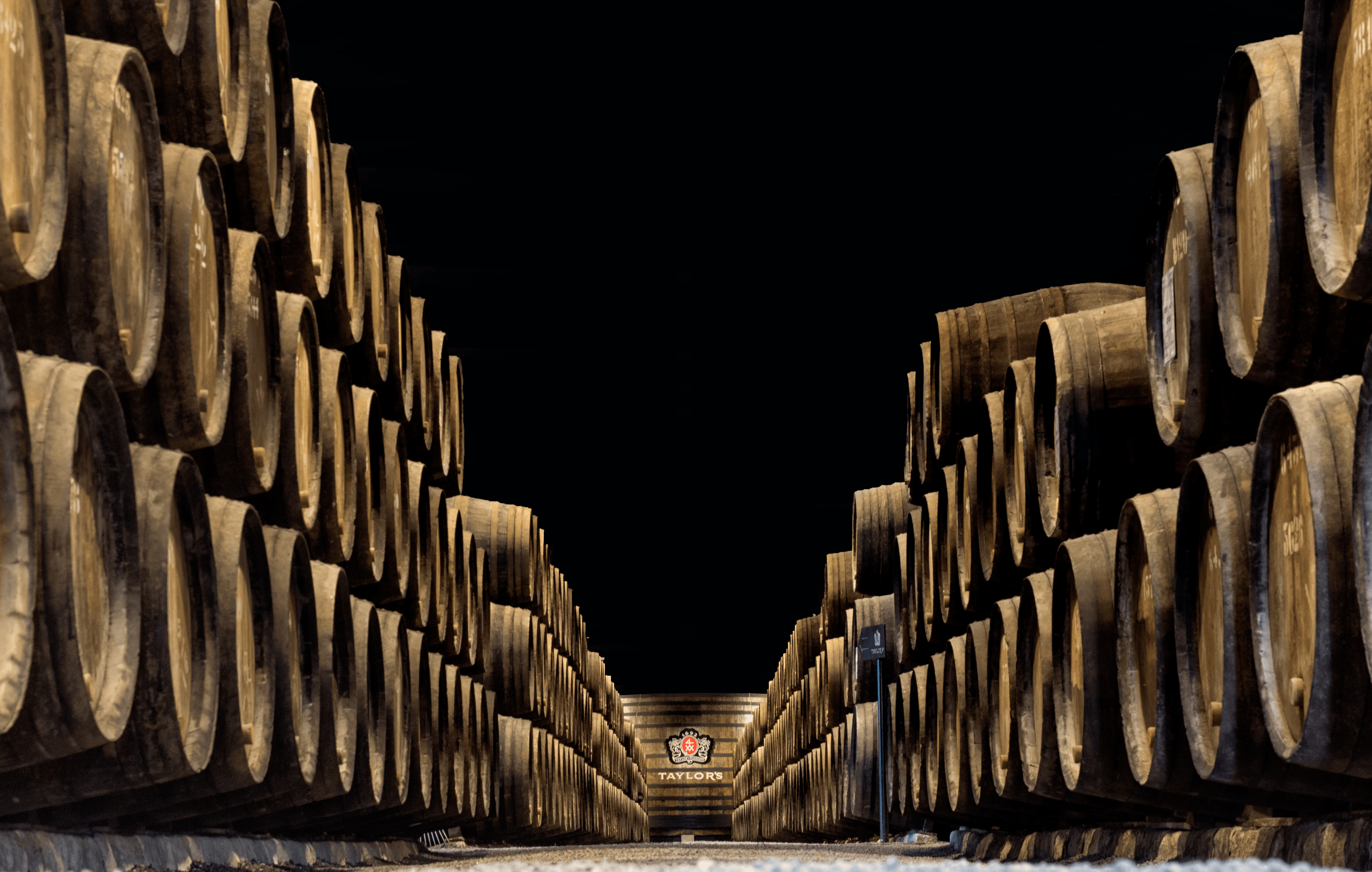 Douro Valley Wine Tour: A Journey Through Portugal's Wine Country