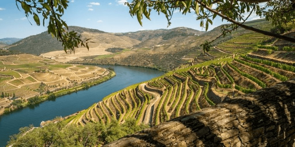 Douro Valley wine estate
