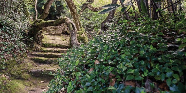 Convento dos Capuchos monastery
