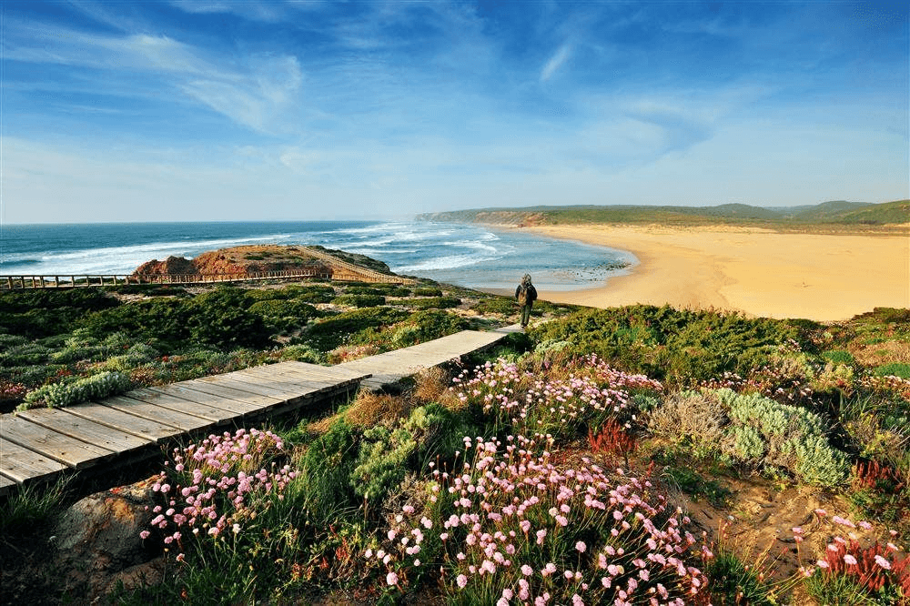 Portugal landscape in spring